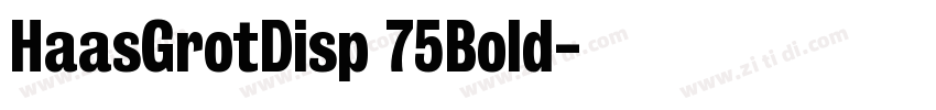 HaasGrotDisp 75Bold字体转换